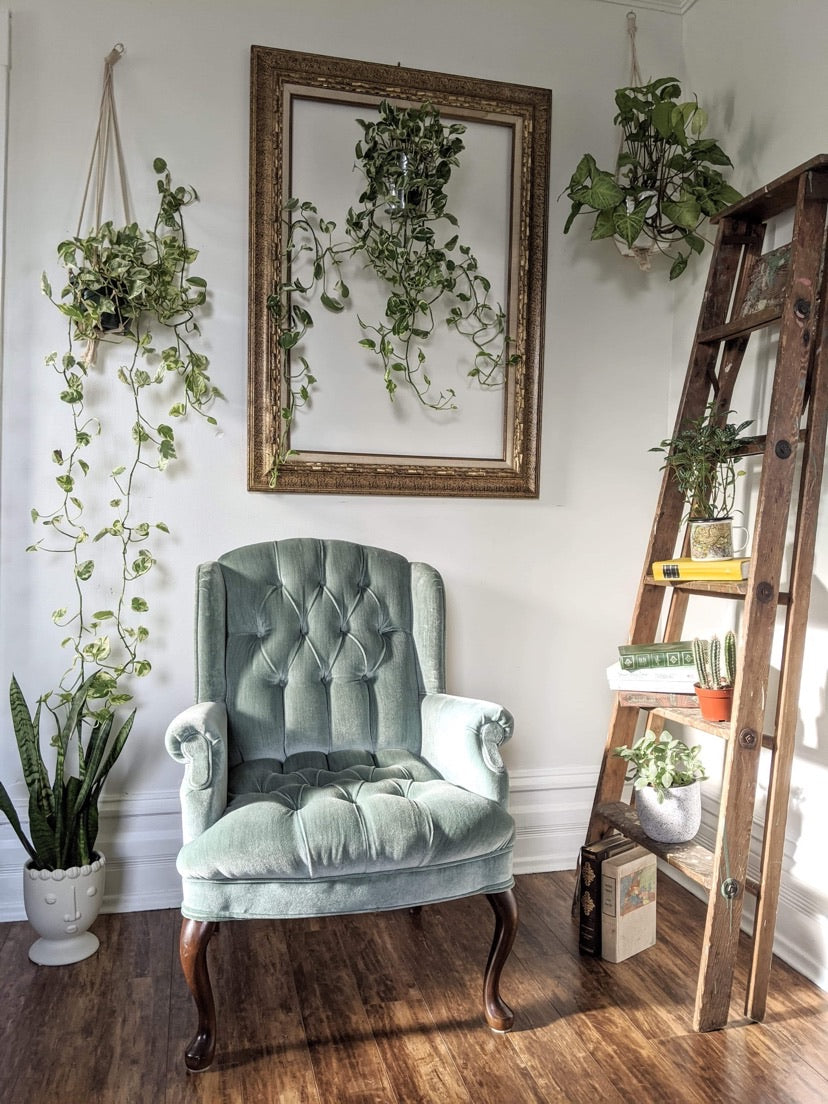 The Minty Fresh Chairs