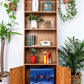 The Baltimore Bookshelf