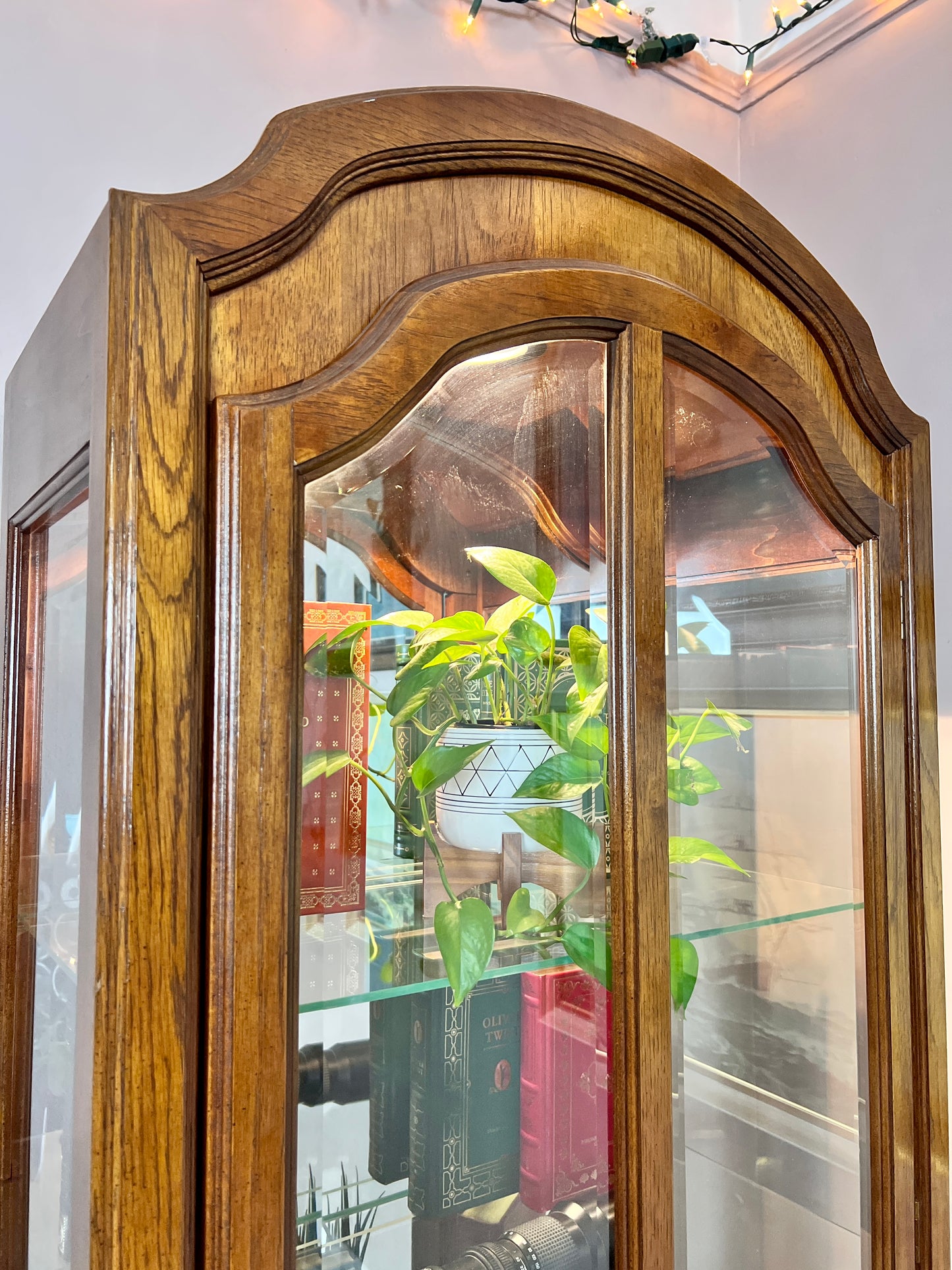 The Orwell Display Cabinet