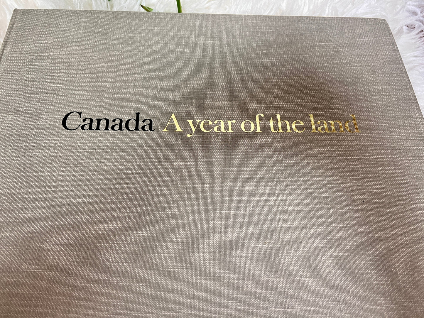 NFB Of Canada A Year Of The Land Book