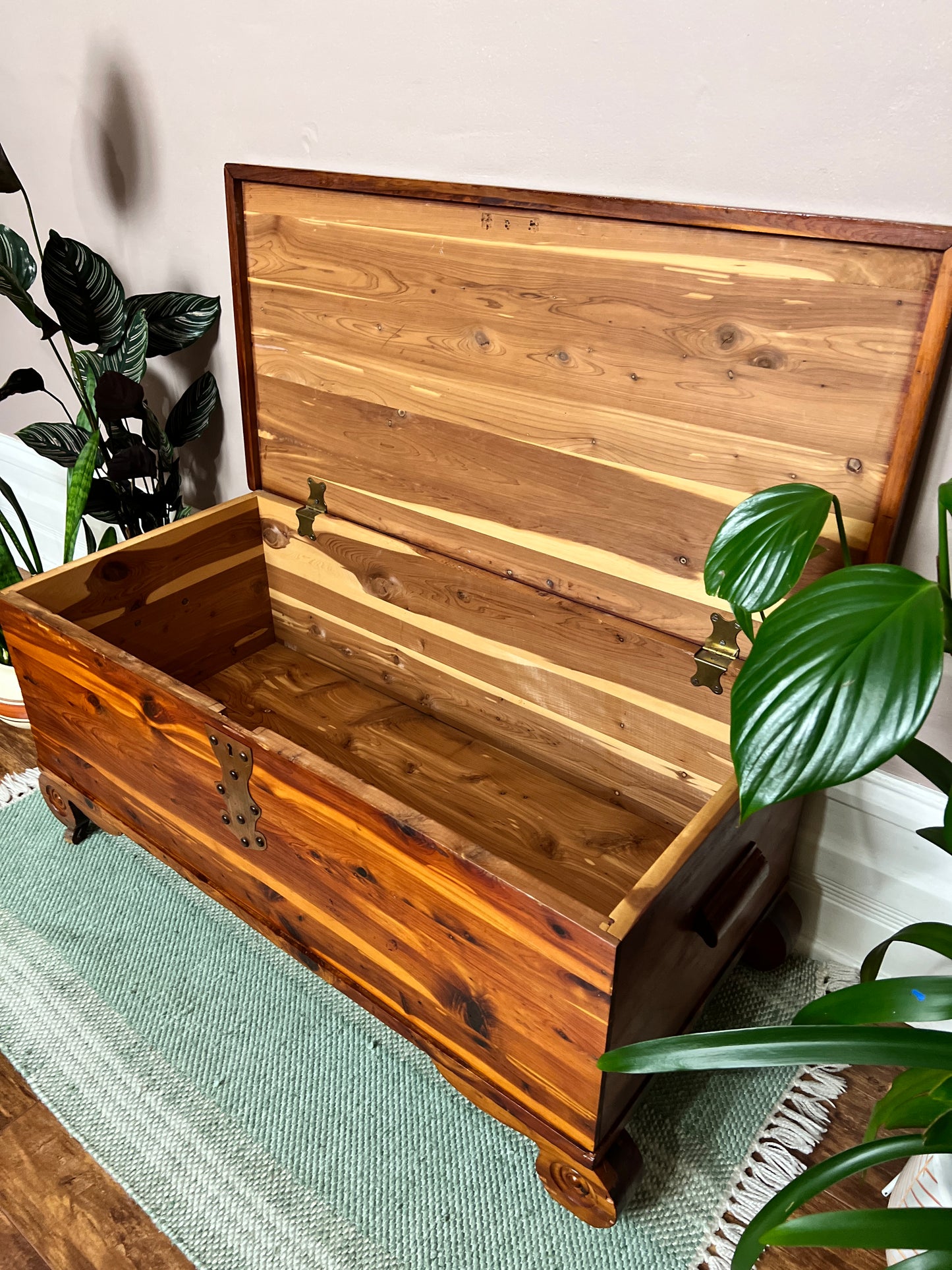 The Cesar Cedar Chest