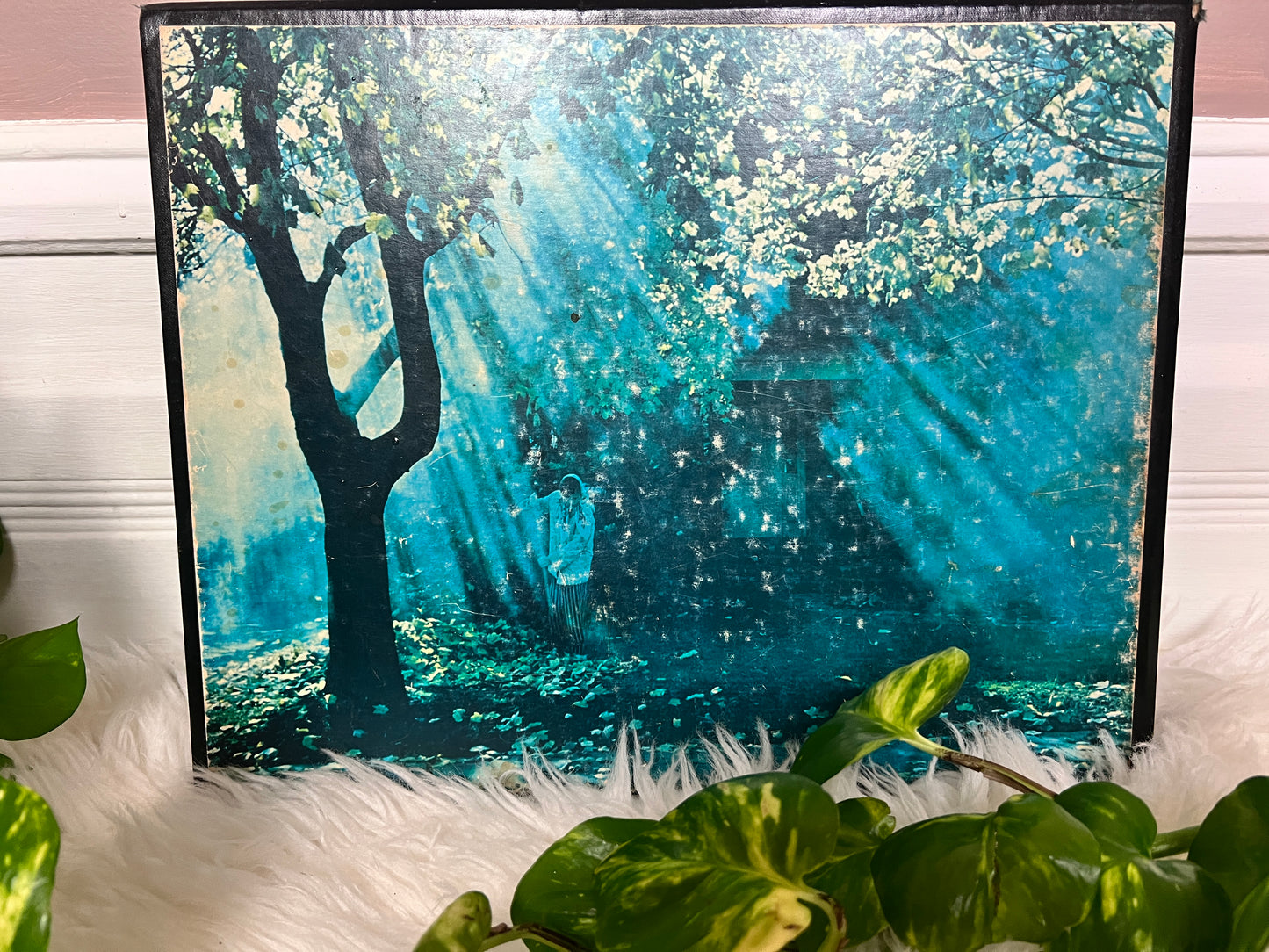 NFB Of Canada A Year Of The Land Book