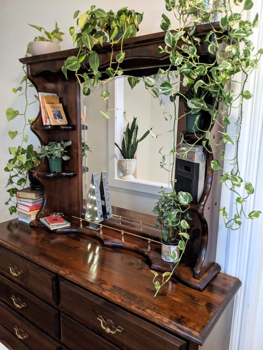 Dreser Dark Brown Mirror Shelf Vintage Retro Victoria BC Retro Vintage