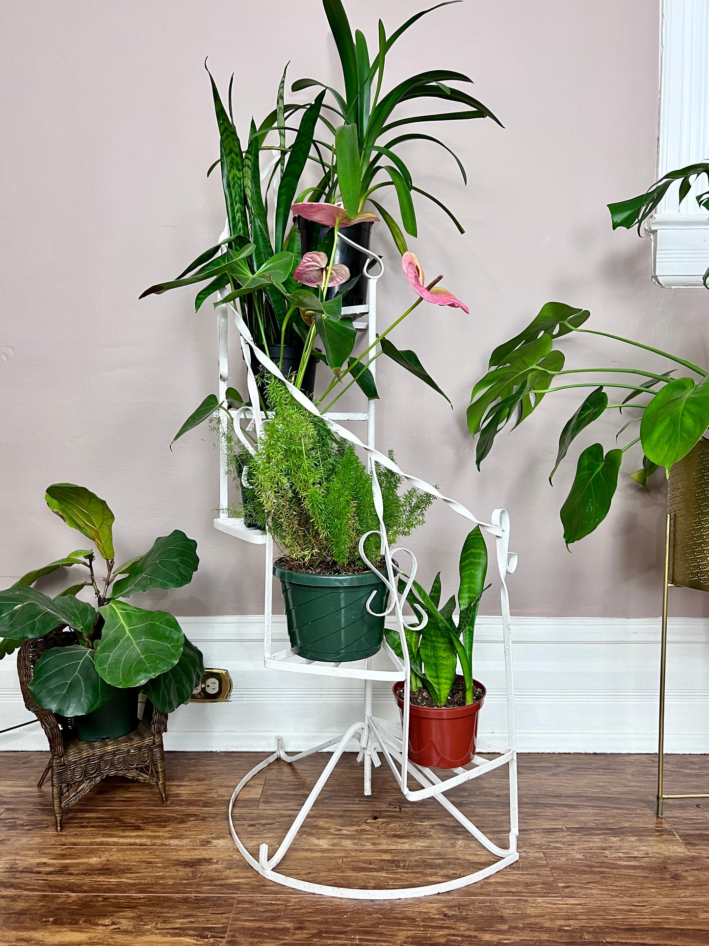 The Spiral Staircase Plant Stand