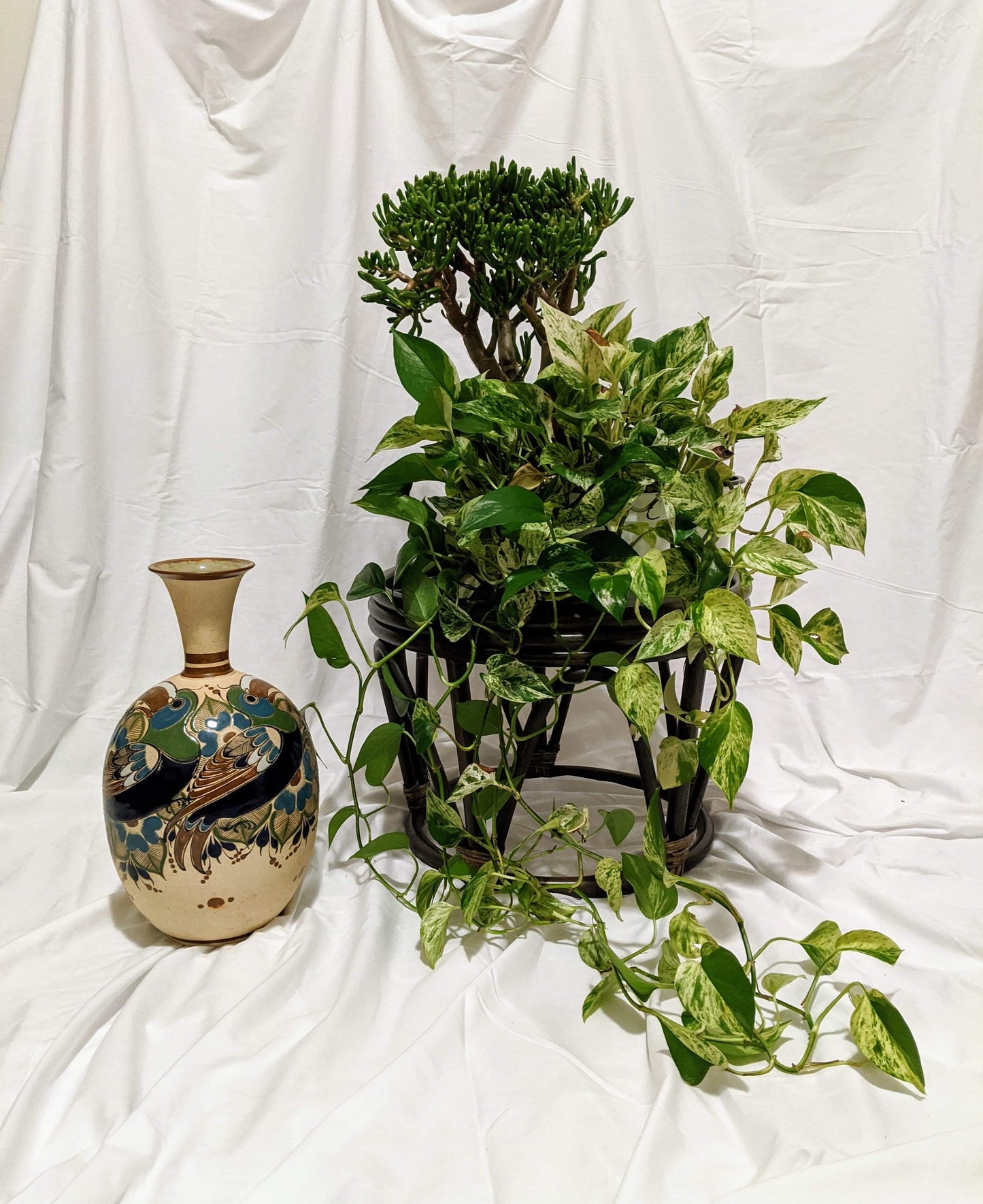 This Is A Plant Stand