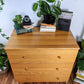 The Sandy Dunes Dresser