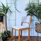 The Silver Fox Chairs (Only 1 left!)