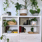 The White Wicker Shelving Unit