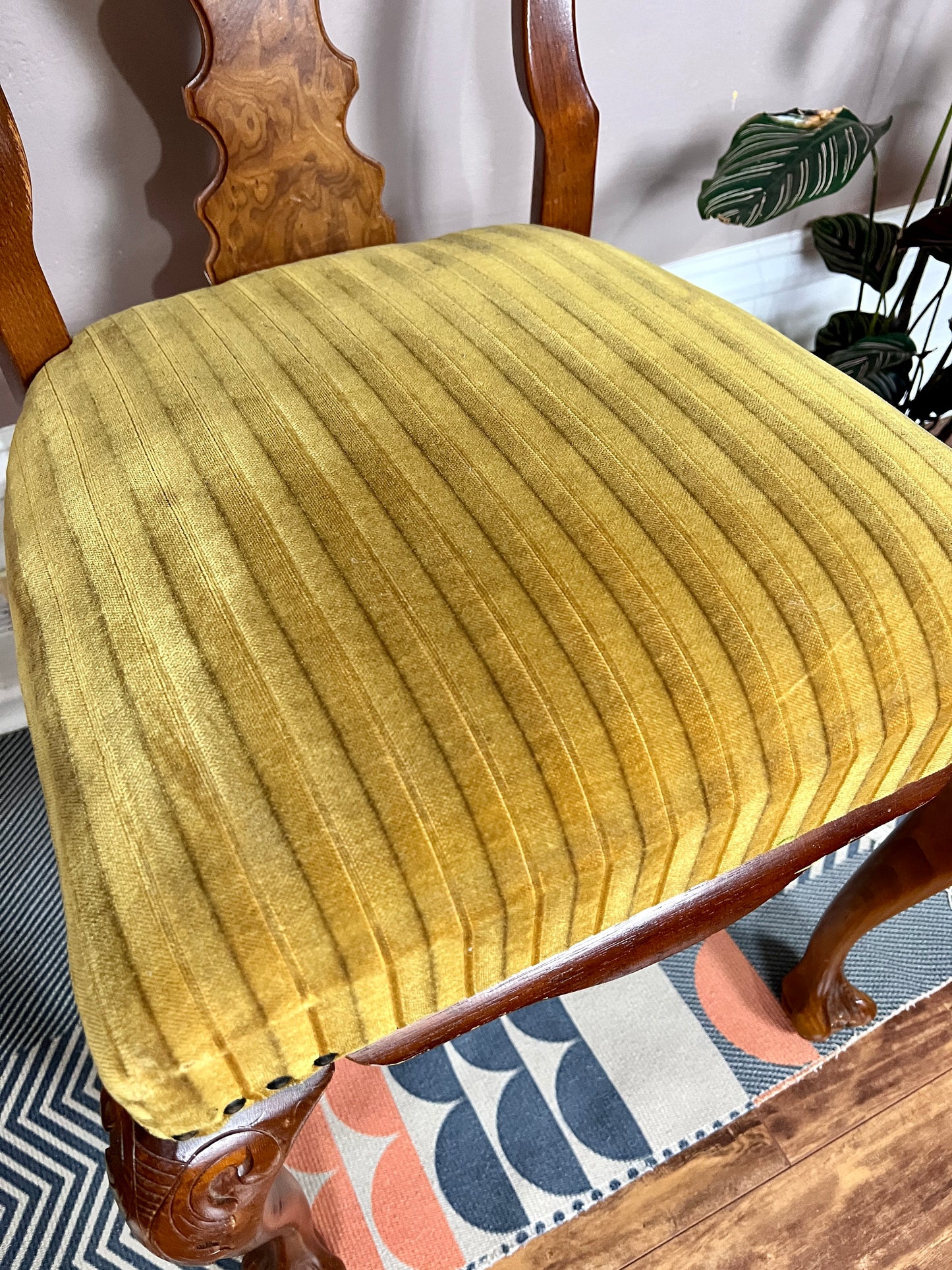 The Magnificent Mustard Chairs