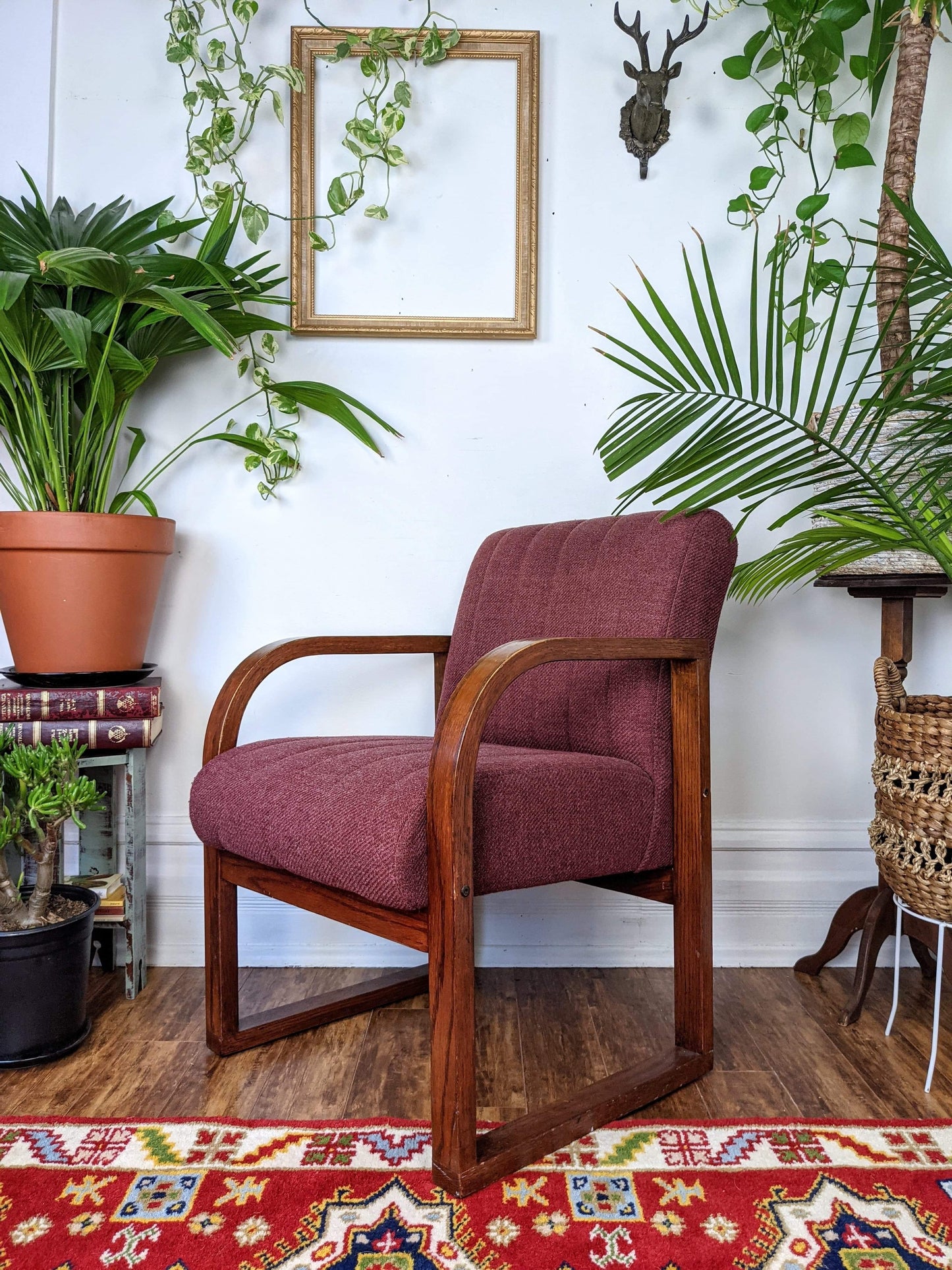 The Coral Tree Chairs