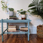 The Blue Vine Coffee Table