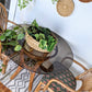 The Three Piece Rattan Set