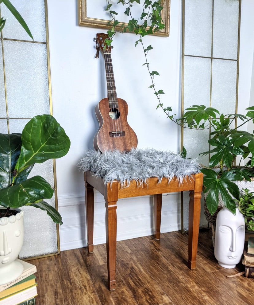 The Silver Shaggy Bench