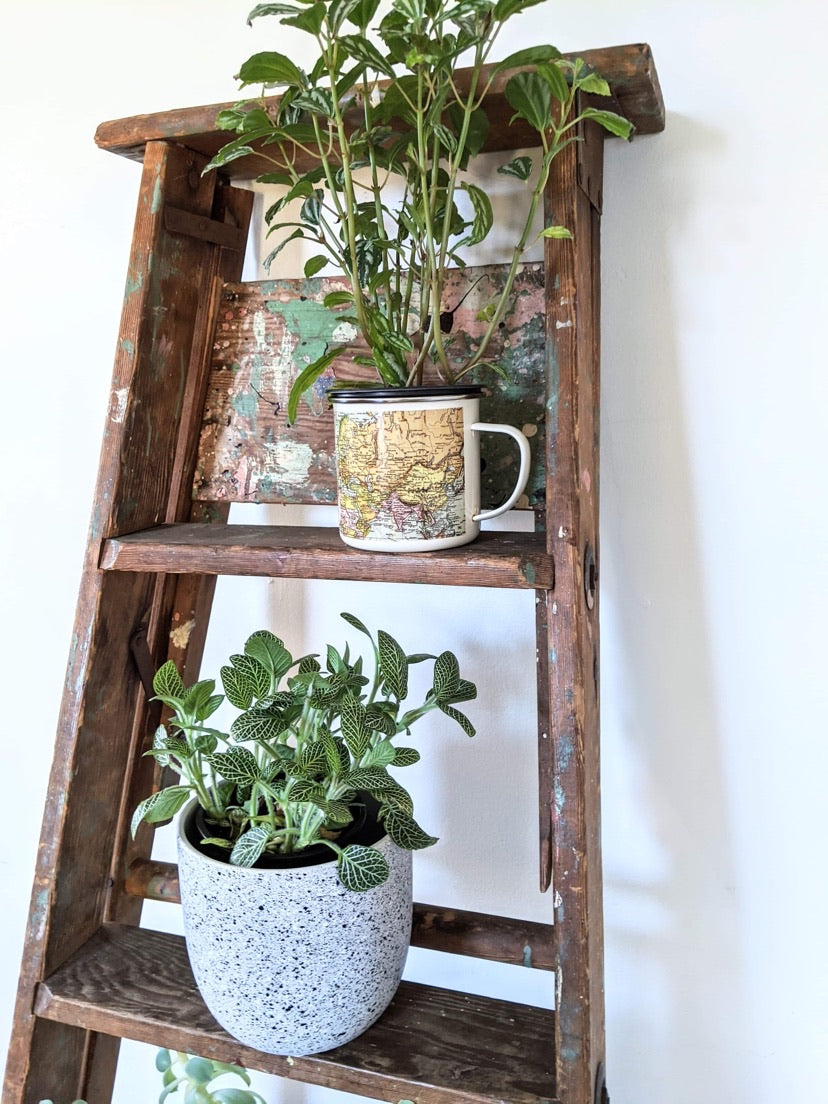 It’s A Ladder Shelf!