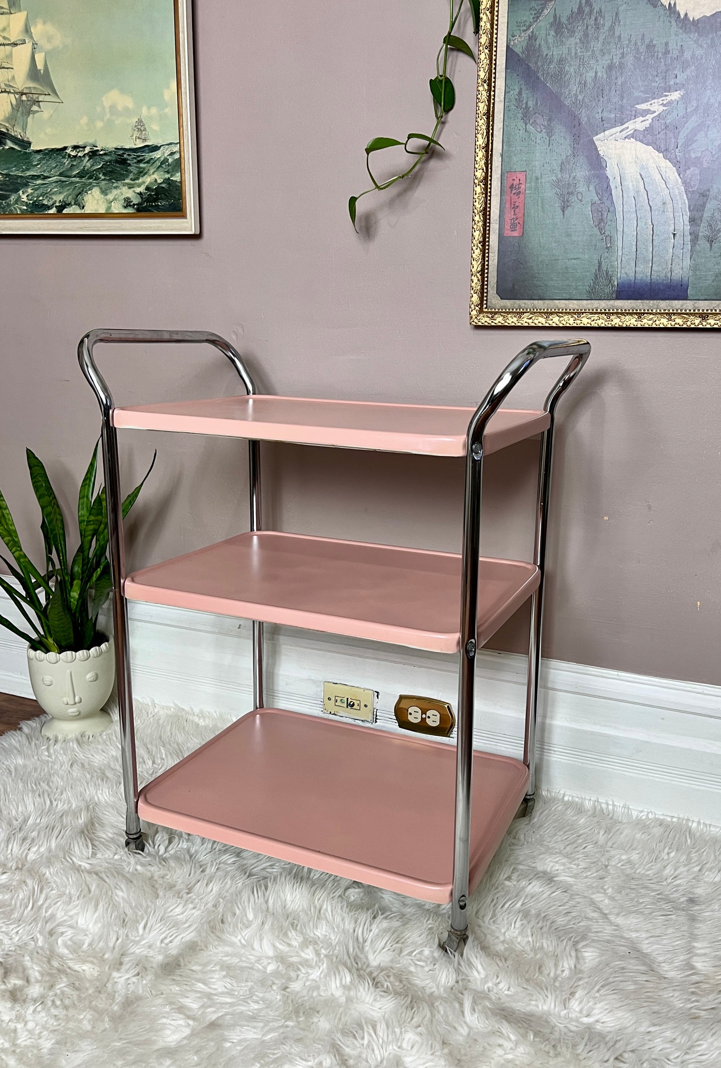 The Rustic Pink Cart