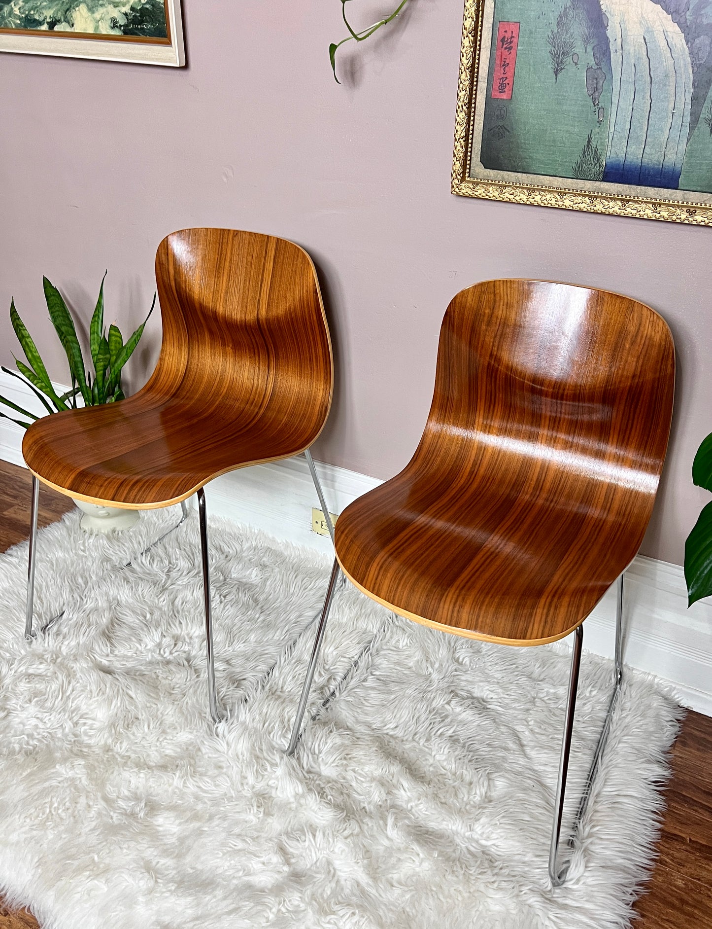 The Bergamot Chairs