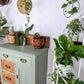 The Jungle Mist Cabinet