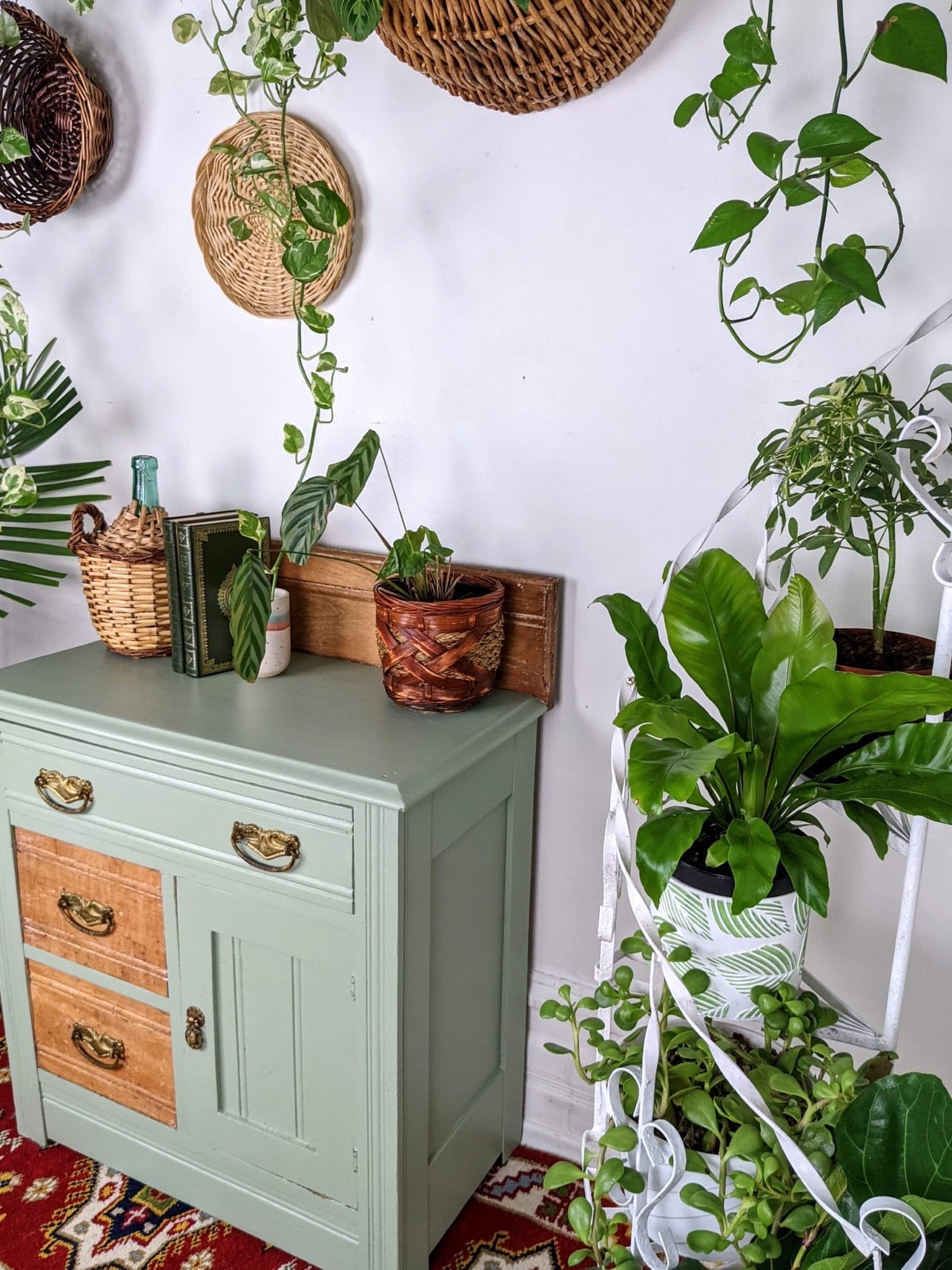The Jungle Mist Cabinet