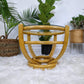 The Ravishing Rattan Set