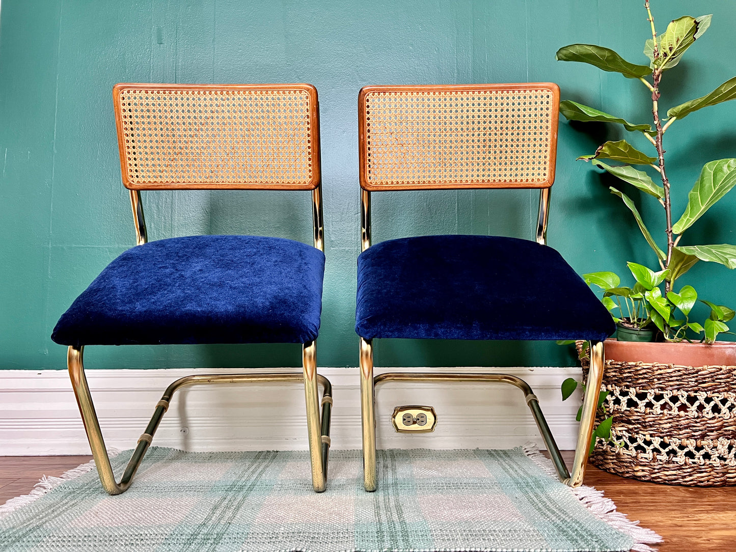 The Don Royal Chairs
