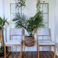 The Silver Fox Chairs (Only 1 left!)