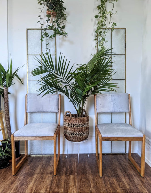 The Silver Fox Chairs (Only 1 left!)