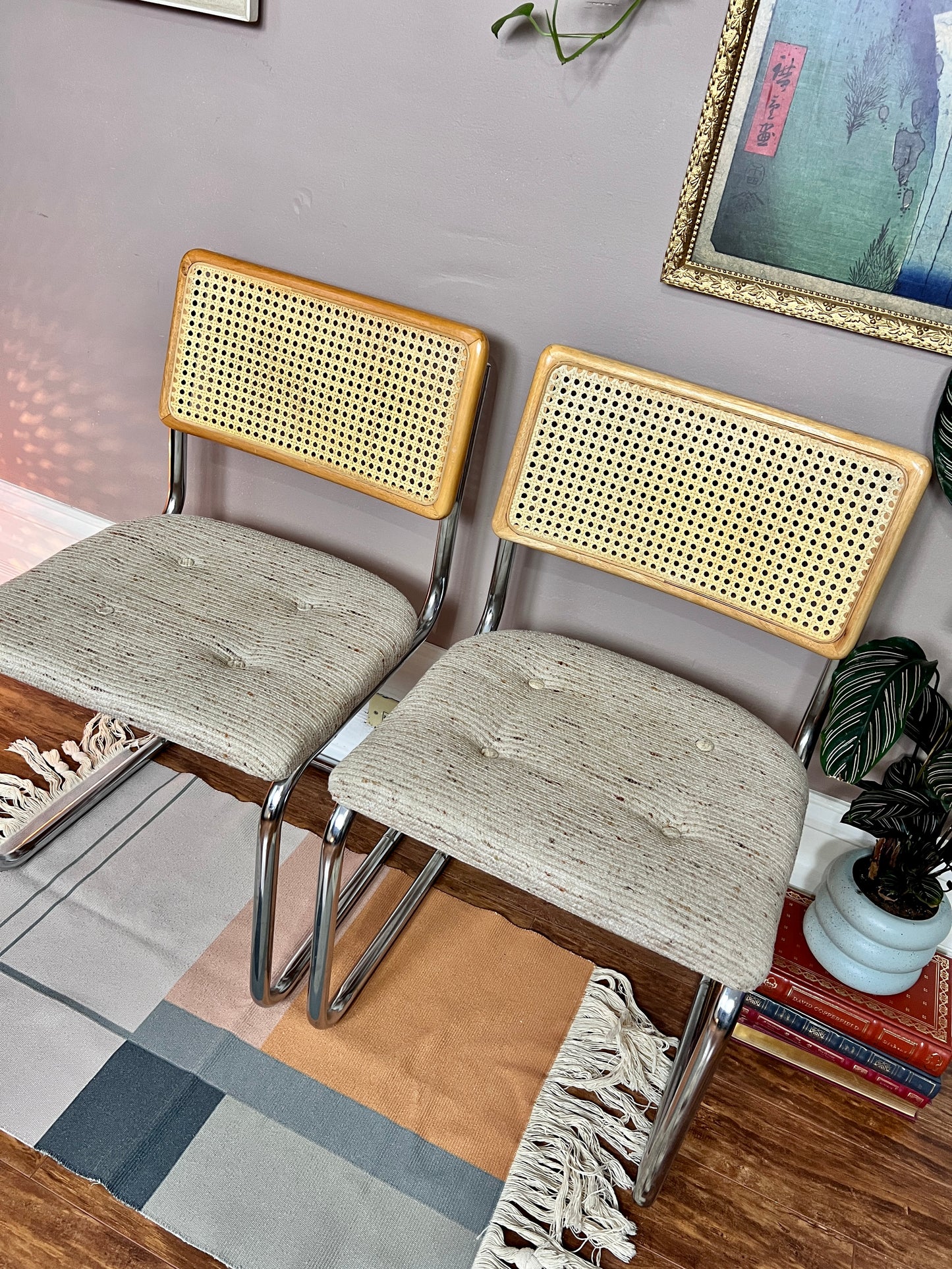 The Cesca Style Chairs