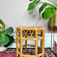 The Wicker Table