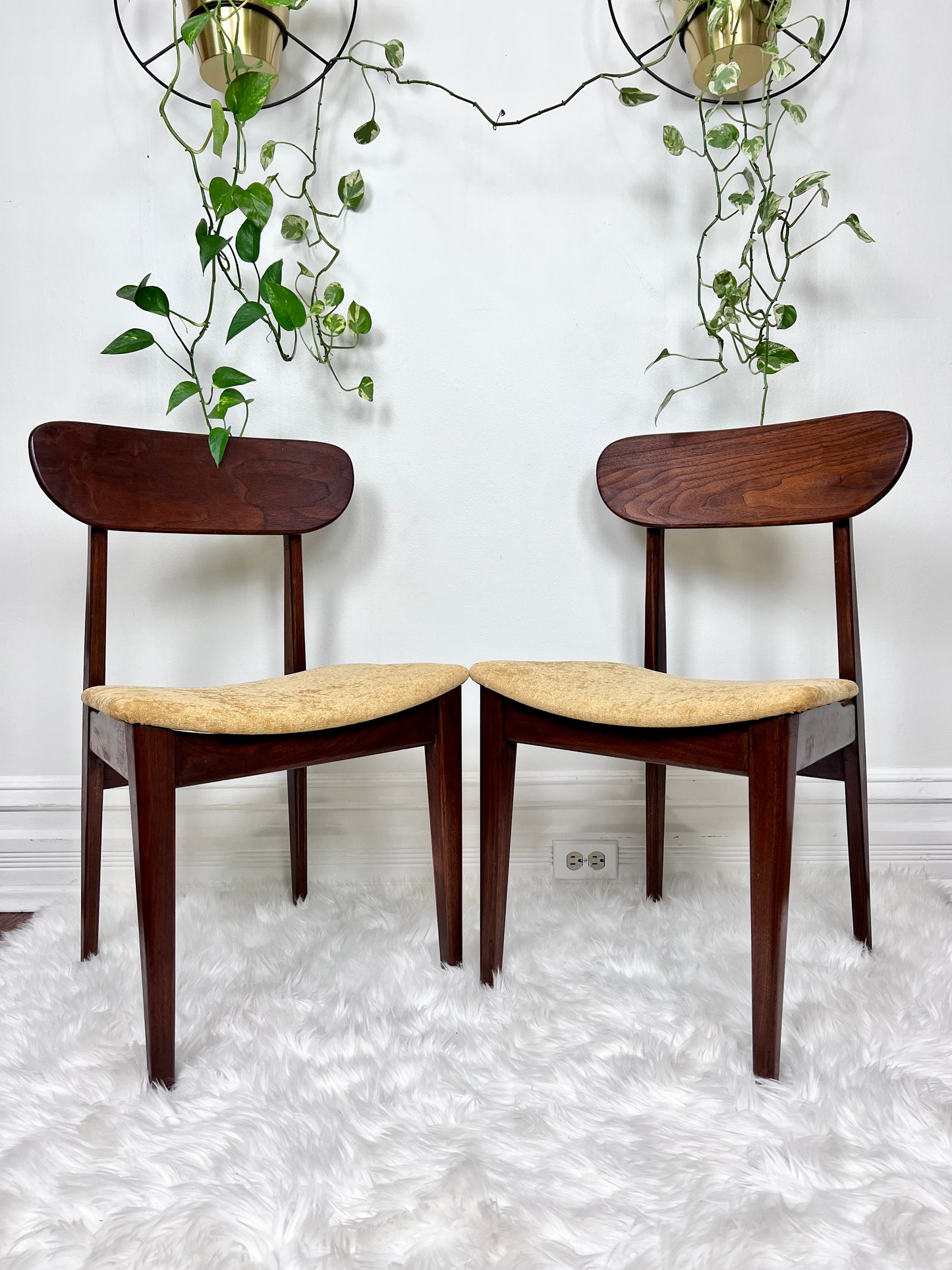 The Valmar Chairs