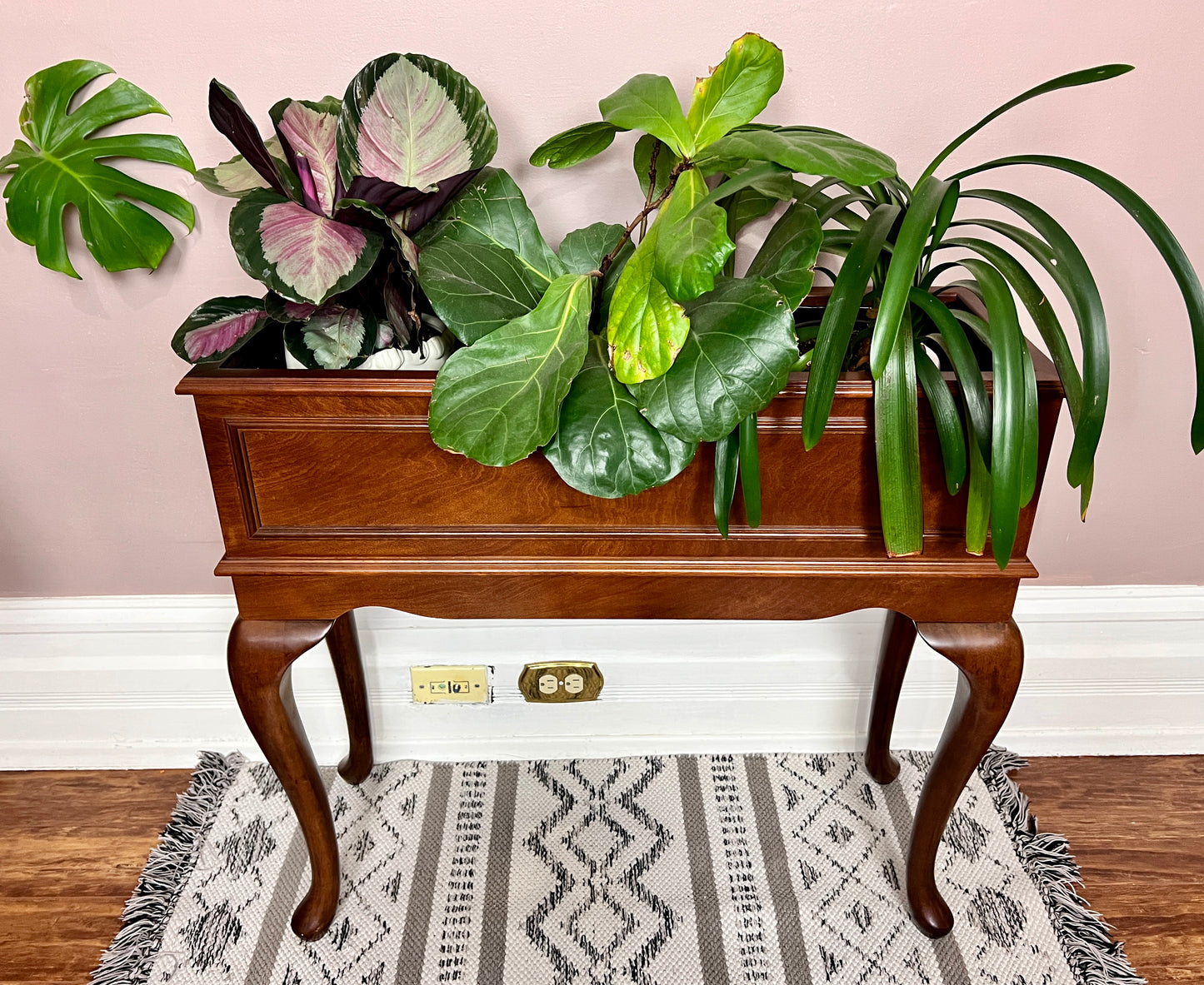 The Mahogany Planter