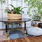 The Dark Star Coffee Table
