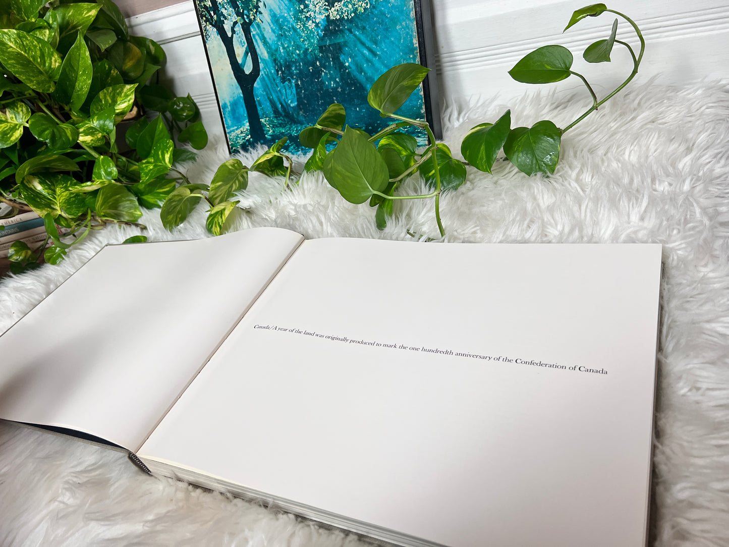 NFB Of Canada A Year Of The Land Book