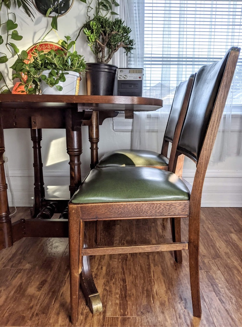 The Succulent Chairs